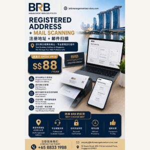 Registered Address & Mail Scanning Services